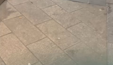 Part 2