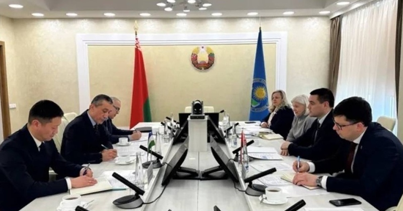 Uzbekistan, Belarus consider prospects for cooperation in education