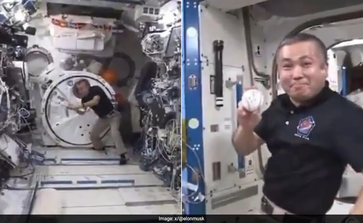 Astronaut Koichi Wakata Plays Solo Baseball In Space, Elon Musk Shares Video