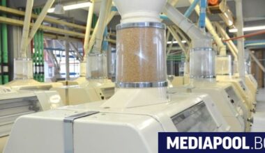"ГудMилс България" инвестира 400 000 лв. в линиите за брашно