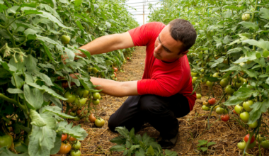 FAO, Republic of Moldova join forces to better train and support farmers
