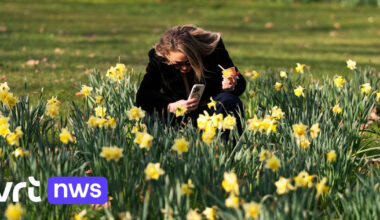 17,7 graden in Ukkel: KMI meet nieuw dagrecord voor 7 maart, temperaturen tot 20 graden mogelijk dit weekend - VRT.be