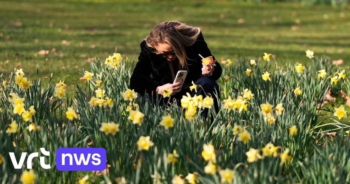 17,7 graden in Ukkel: KMI meet nieuw dagrecord voor 7 maart, temperaturen tot 20 graden mogelijk dit weekend - VRT.be