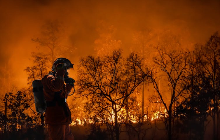 Firefighter standing in front of a blazing bushfire.