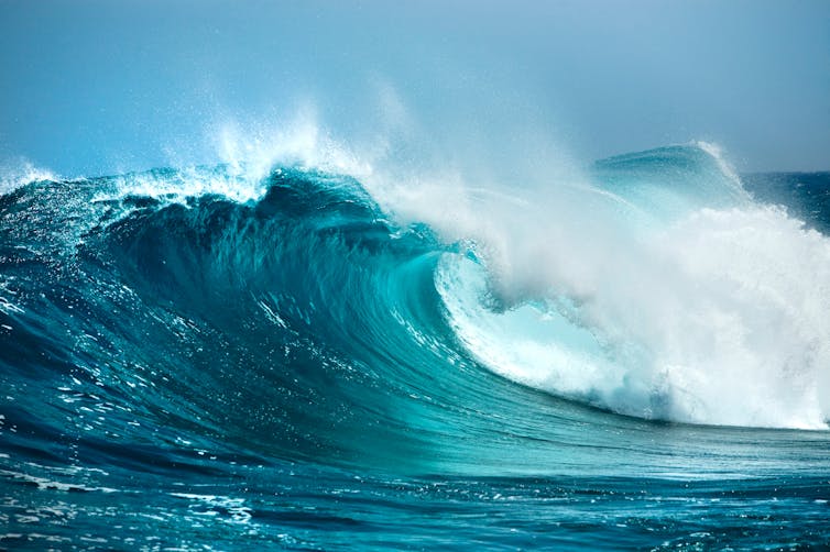 A barrelling wave.