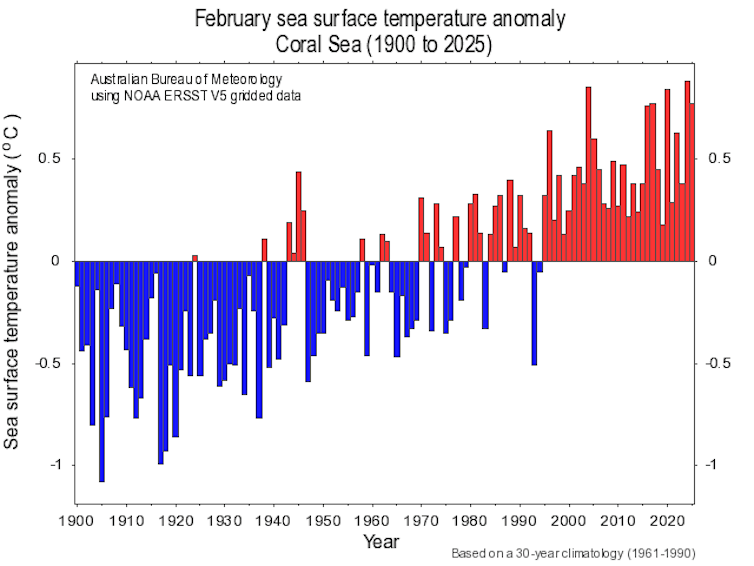 figure showing rising sea temperatures in february in coral sea.