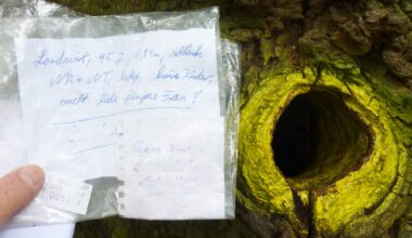 A secret tree mailbox in Germany could lead you to love.