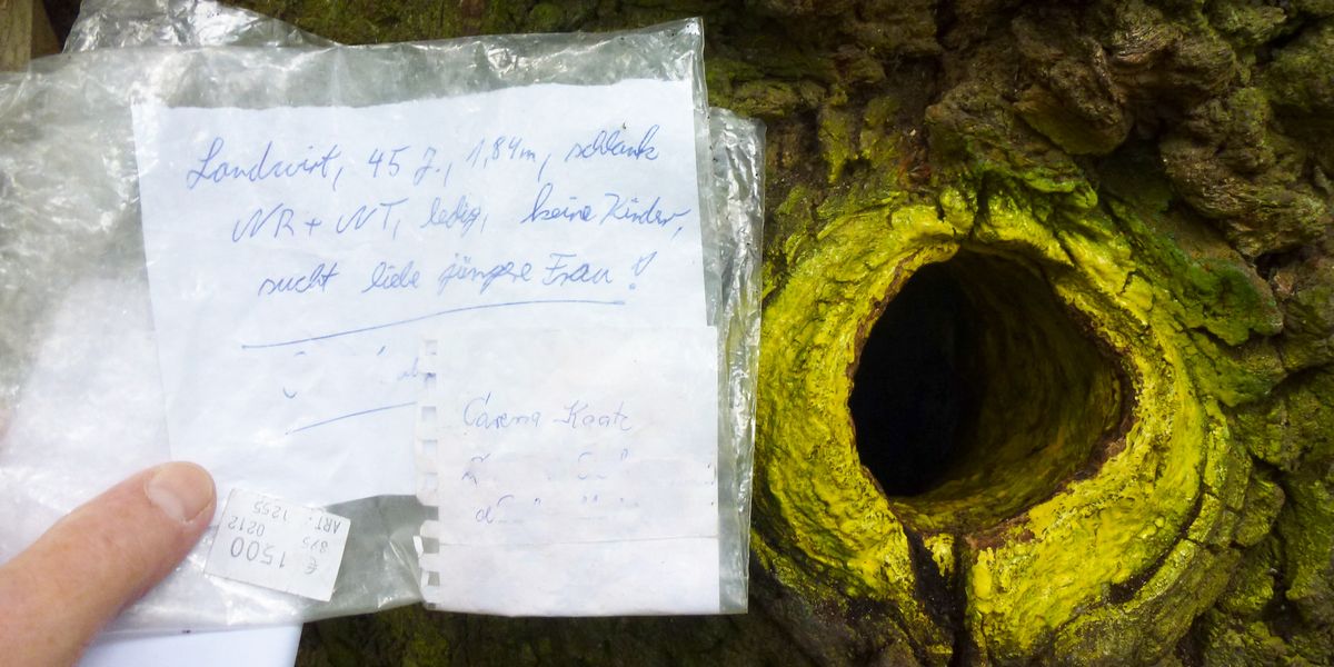 A secret tree mailbox in Germany could lead you to love.