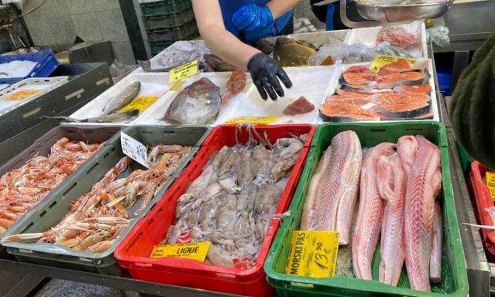 Fish prices now in Croatia: What you’ll pay at the markets