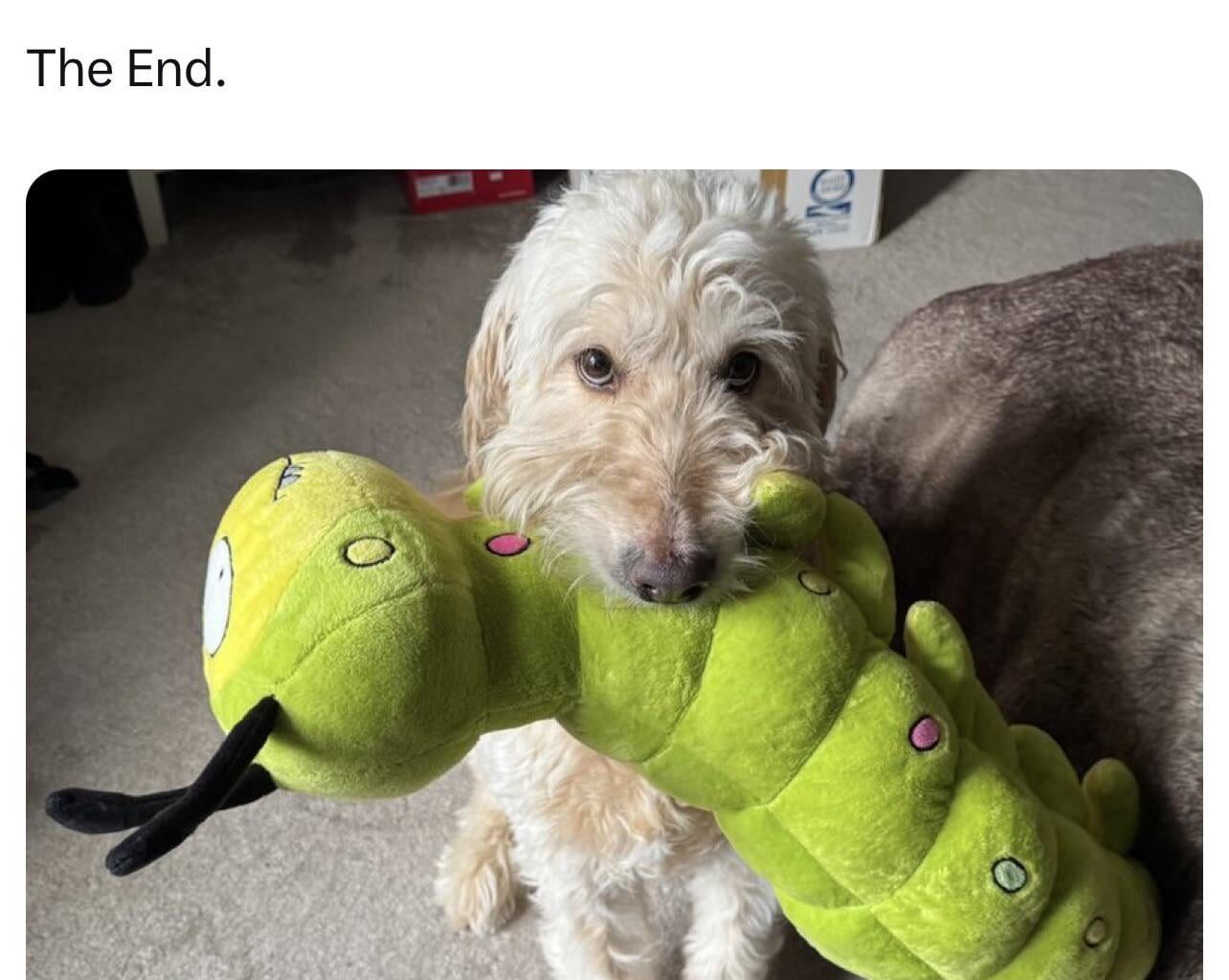 The end.