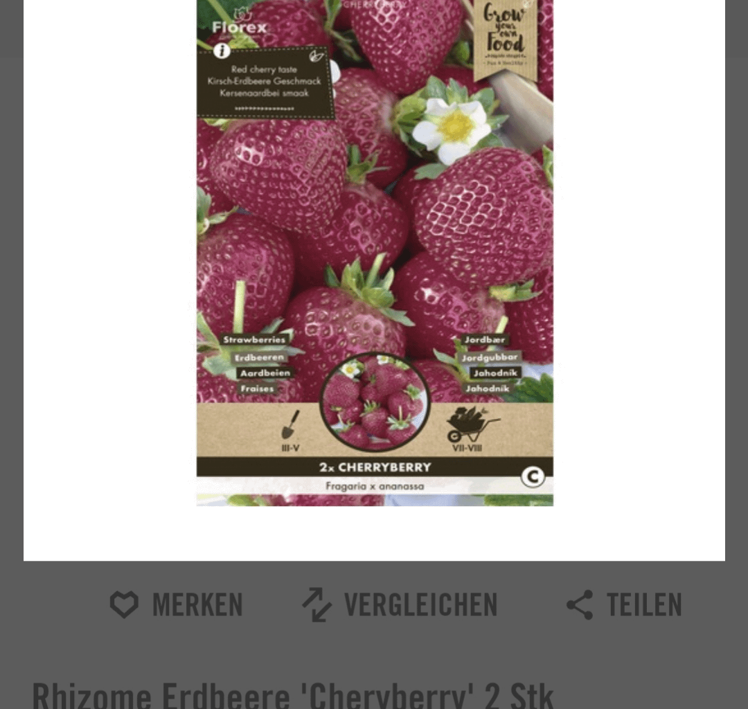 Hat einer von euch schon mal Erdbeeren mit Kirschgeschmack (Cherryberry) probiert?