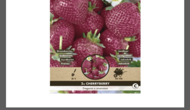 Hat einer von euch schon mal Erdbeeren mit Kirschgeschmack (Cherryberry) probiert?
