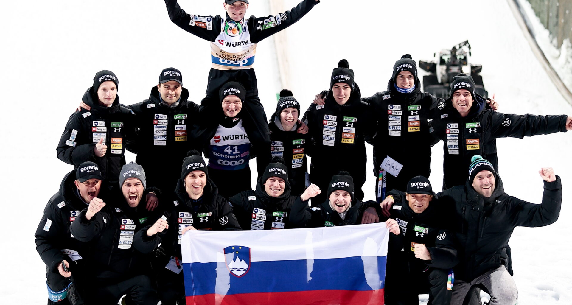 FIS logo