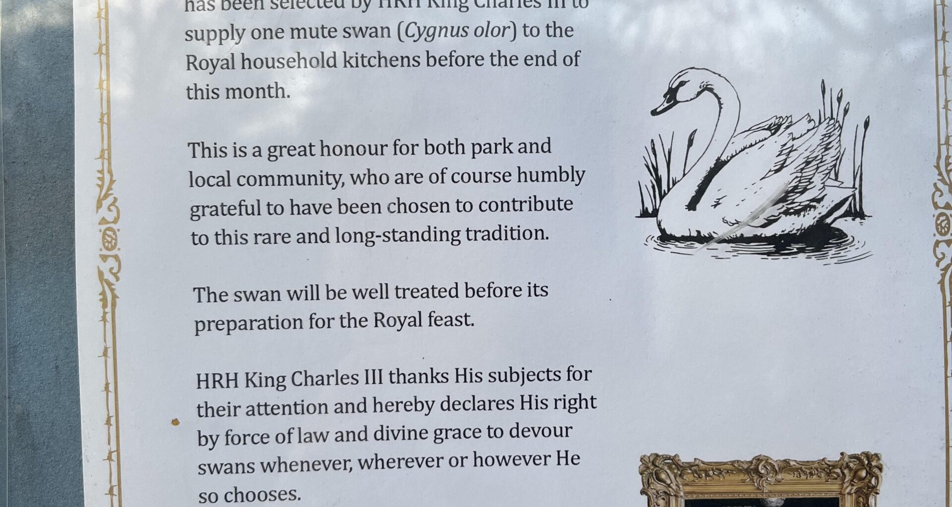Have these popped up in any other London parks?