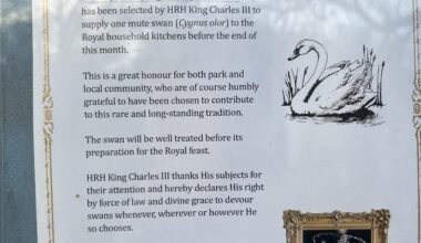 Have these popped up in any other London parks?