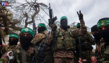 Bande de Gaza : le Hamas prêt à libérer un otage, Israël crie à la "manipulation"