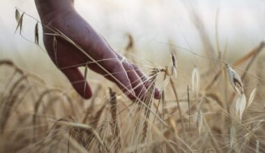 Σε νέα φάση ο εμπορικός πόλεμος των ΗΠΑ – Χαμένοι και οι αμερικανοί αγρότες από τους δασμούς Τραμπ