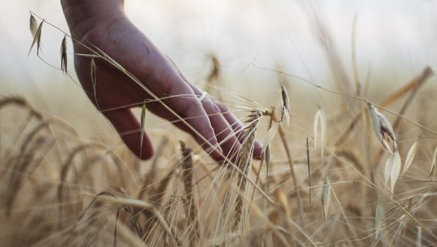 Σε νέα φάση ο εμπορικός πόλεμος των ΗΠΑ – Χαμένοι και οι αμερικανοί αγρότες από τους δασμούς Τραμπ