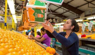 Florida: Migranten fehlen – jetzt sollen Kinder Nachtschicht übernehmen