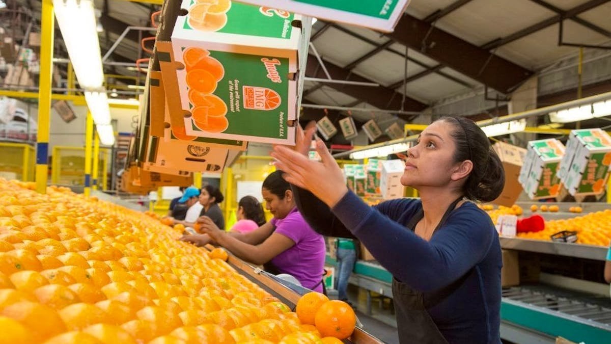 Florida: Migranten fehlen – jetzt sollen Kinder Nachtschicht übernehmen