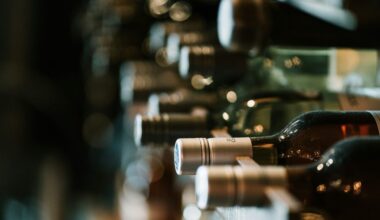 Moldovan wine is making its mark in Brazil