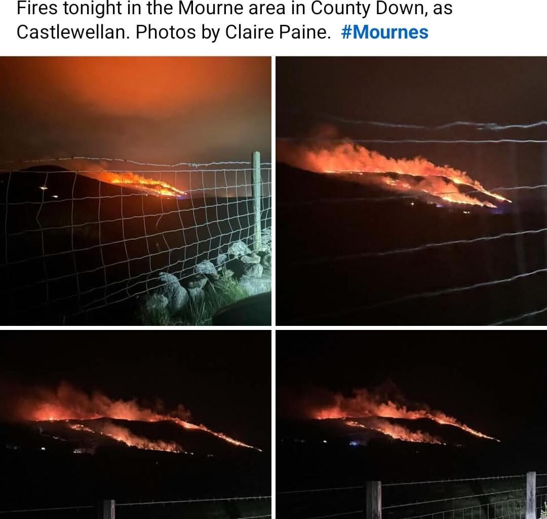 If only St Patrick could rid us of the snakes who set gorse fires
