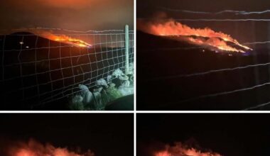 If only St Patrick could rid us of the snakes who set gorse fires