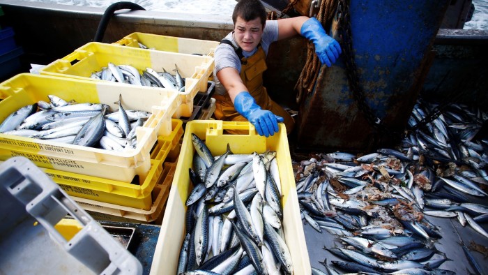 A fisherman sorts through the mackerel catch on board a trawler off the coast of Ouistreham, northwestern France-