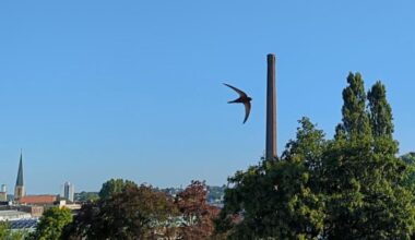 Nicht mehr lange... Srriii