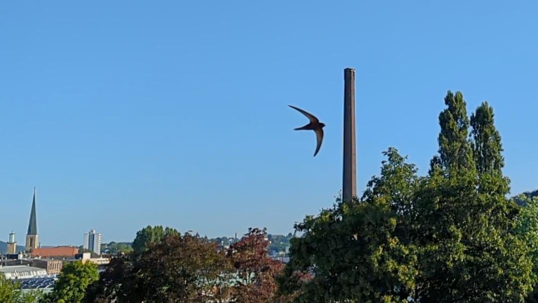 Nicht mehr lange... Srriii