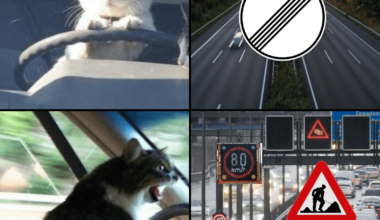 Autobahn goes vroom vroom?