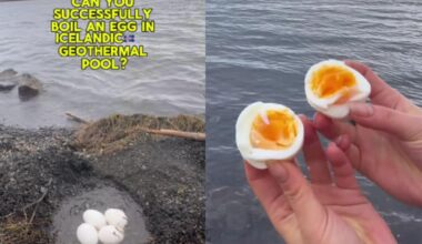 Travel Vlogger Uses Iceland's Geothermal Pool To Boil Eggs, Leaves Internet Impressed