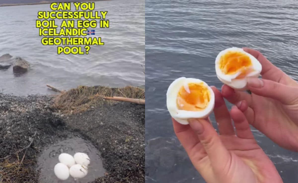 Travel Vlogger Uses Iceland's Geothermal Pool To Boil Eggs, Leaves Internet Impressed