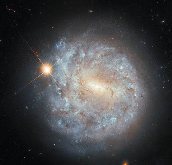 This Hubble image shows NGC 4900, a spiral galaxy approximately 45 million light-years away in the constellation of Virgo. Image credit: NASA / ESA / Hubble / S.J. Smartt / C. Kilpatrick.