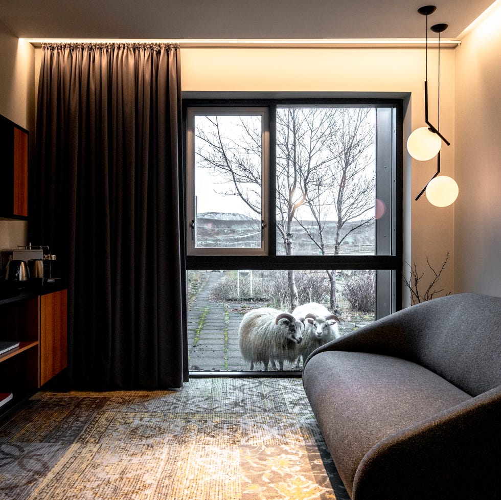 room at the ion adventure hotel