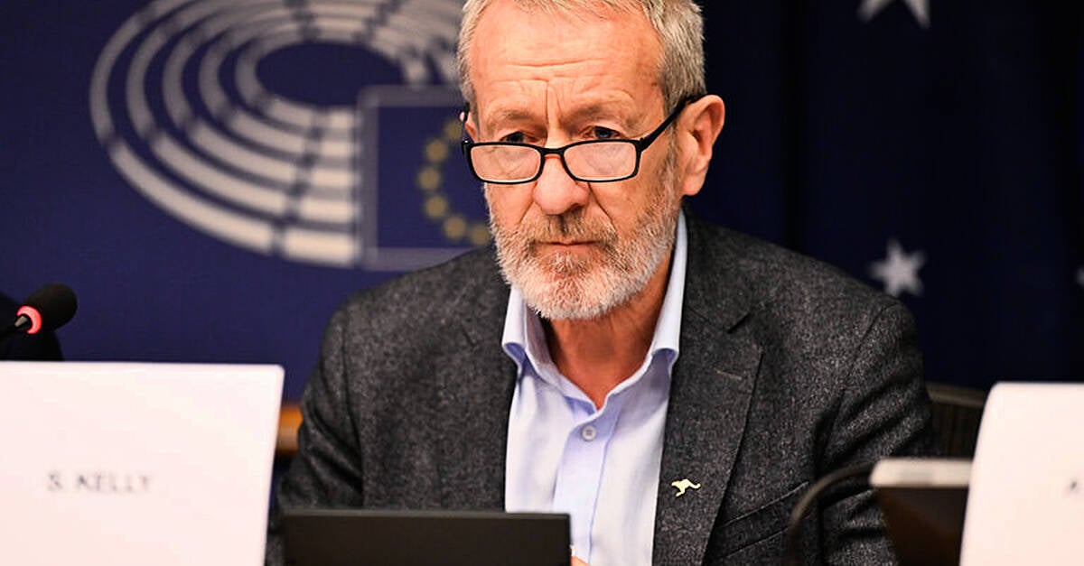 Ireland South MEP backs proposal to amend Ireland’s triple lock mechanism