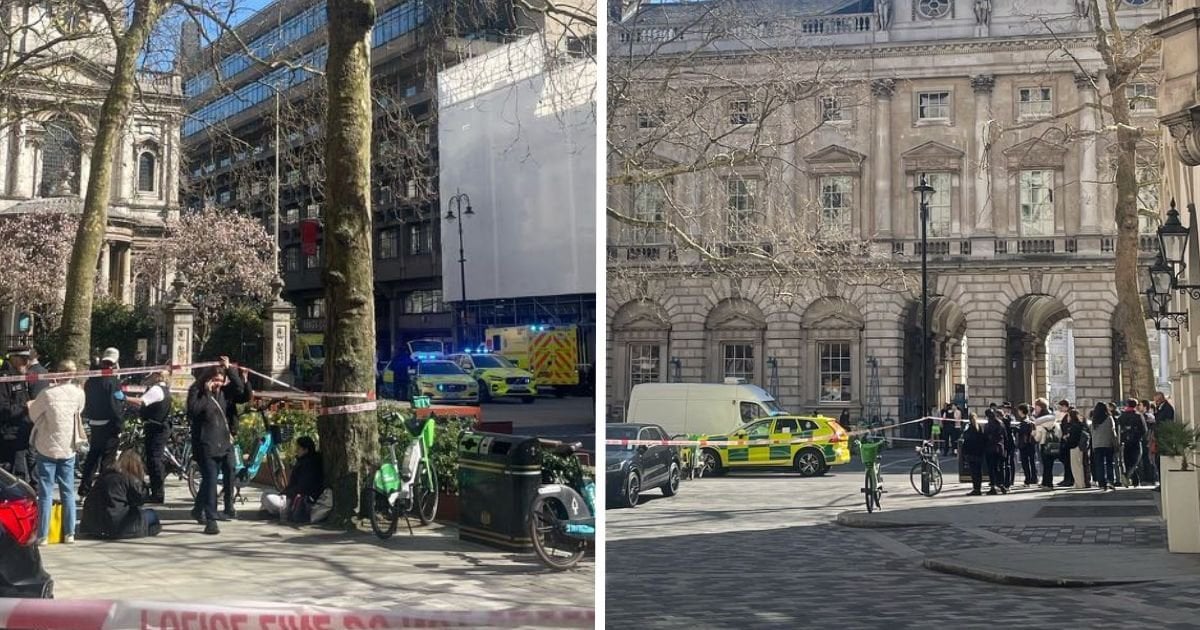 Woman who died after being hit by van on the Strand confirmed to be King's College student