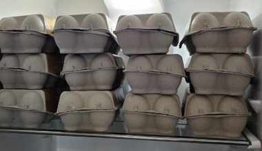 How many US states can I buy for these 120 Danish eggs?