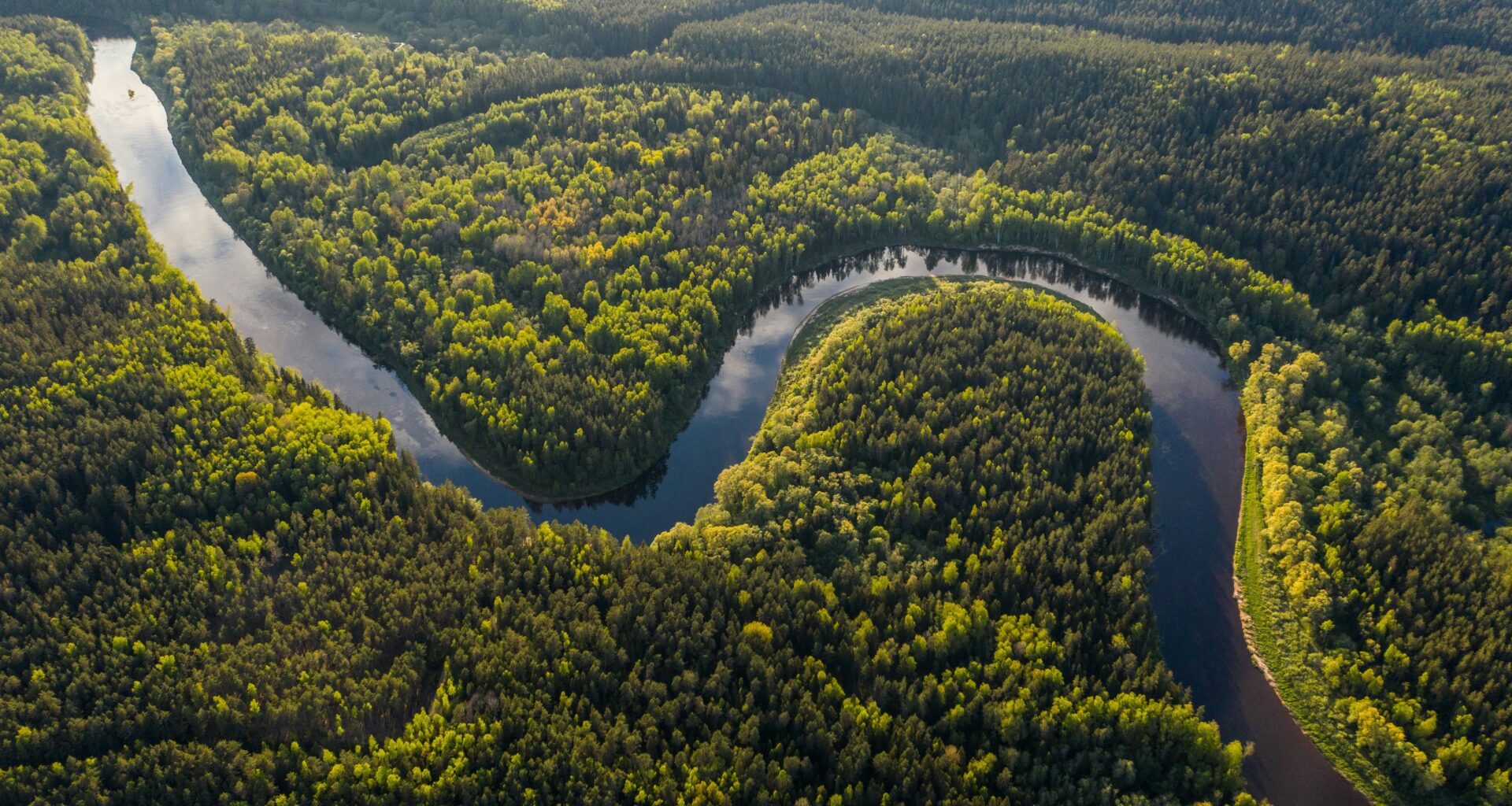 Amazon Rainforest Cleared for Climate Conference