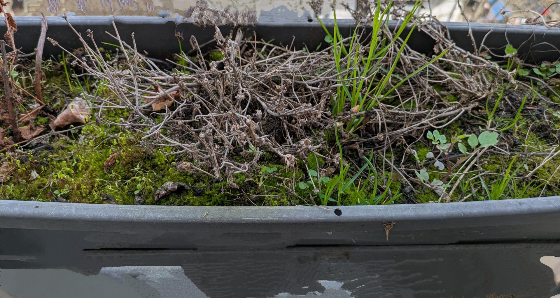 Blumenkasten lag 1 Jahr lang brach. Erde austauschen oder einfach umgraben / recyceln? Da sollen wieder Blumen wachsen...