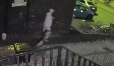Sadistic dog abuser run out of town by neighbours who heard animals screaming inside "house of horrors"