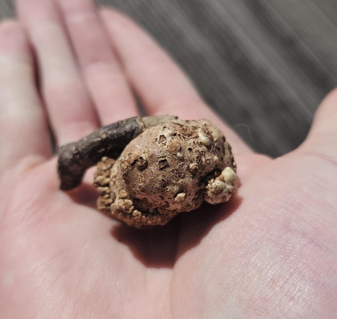 Was ist das?