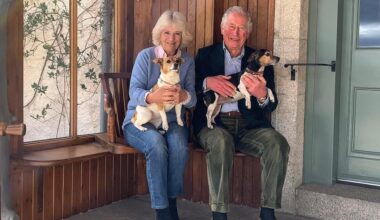All About King Charles III, Queen Camilla's Dogs