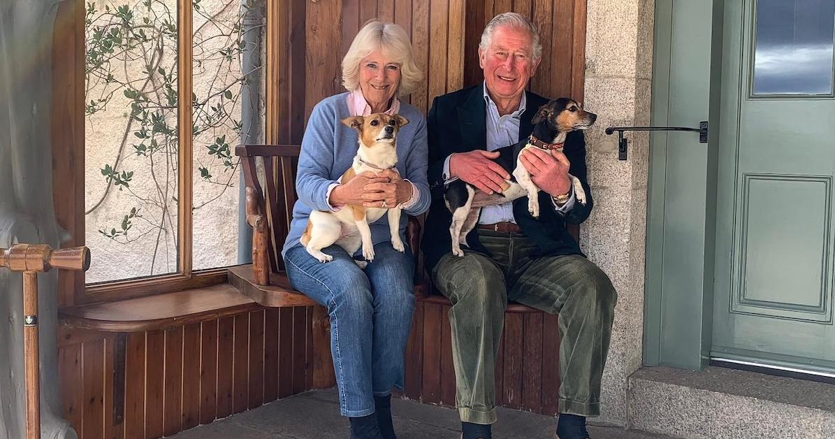 All About King Charles III, Queen Camilla's Dogs