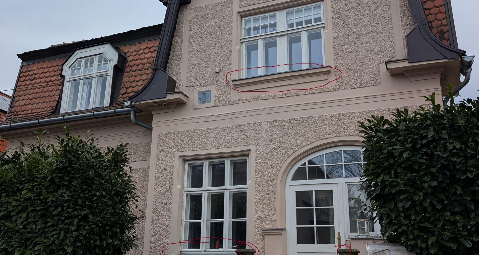 Bepflanzung Fenstertröge und Eingangsbereich
