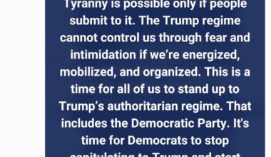 Hey Dems, FIGHT BACK!