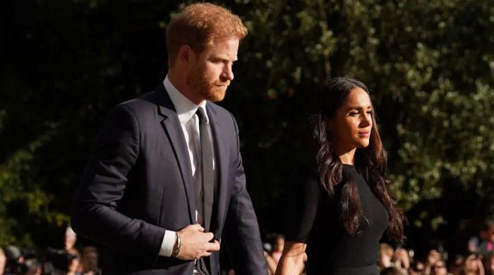 Prince Harry, Meghan release emotional statement: ‘unimaginable loss’