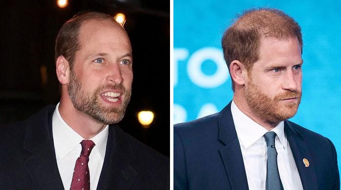 Prince William issues statement as Prince Harry takes upsetting decision