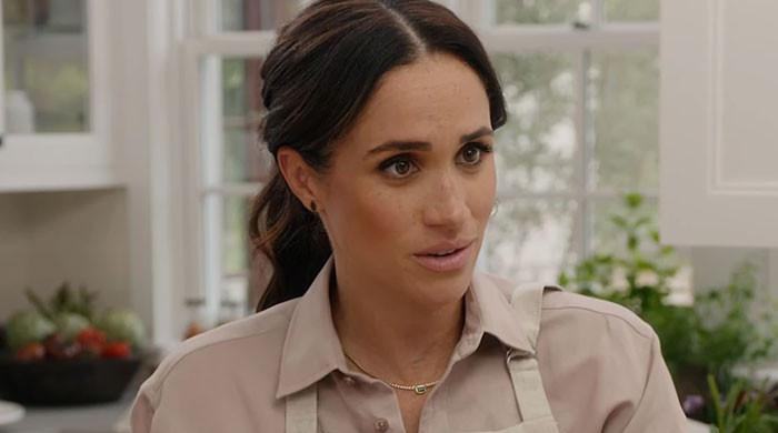 Meghan Markle hits back at bullying claims with Archie, Lilibet?
