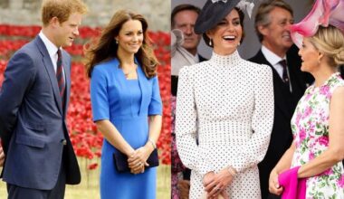 Royal family sending Duchess Sophie to US after Kate Middleton, Harry's emotional meeting